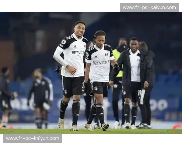 黑白狂想曲：当圣詹姆斯公园遇上克拉文农场的细腻——纽卡斯尔与富勒姆的英超博弈论